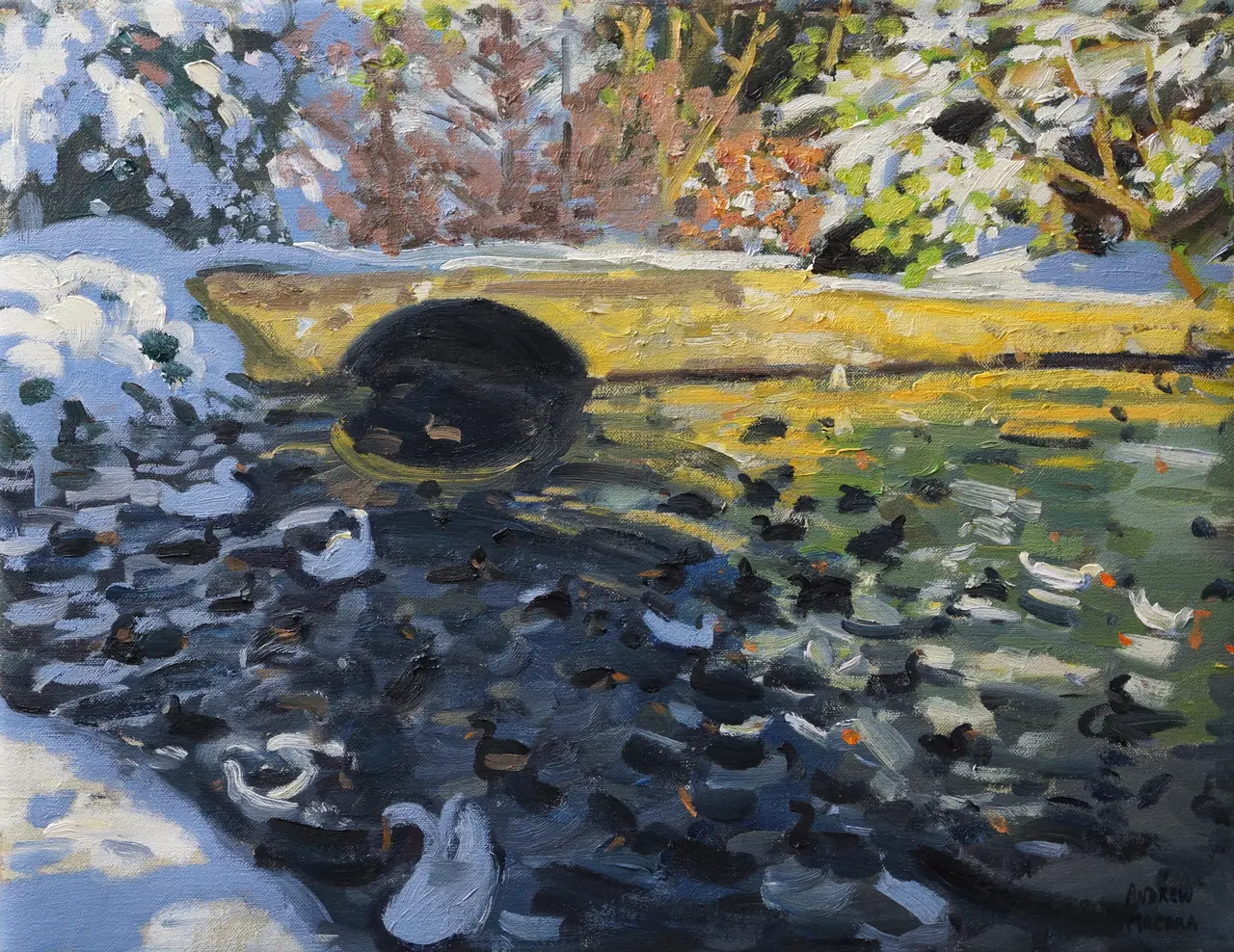 Andrew Macara - the bridge, markeaton park